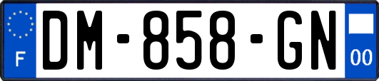 DM-858-GN