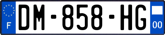 DM-858-HG