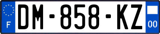DM-858-KZ