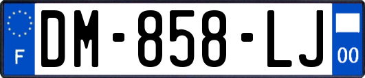 DM-858-LJ