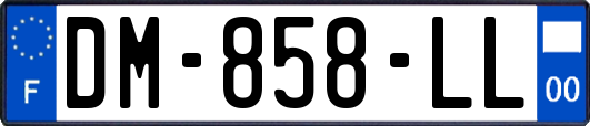 DM-858-LL