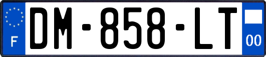 DM-858-LT