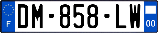 DM-858-LW