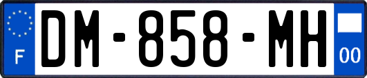 DM-858-MH