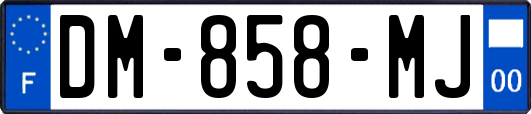 DM-858-MJ