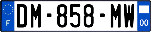 DM-858-MW