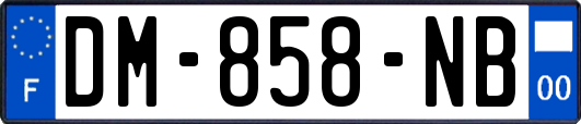DM-858-NB
