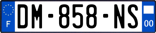 DM-858-NS