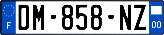 DM-858-NZ