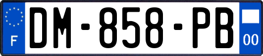 DM-858-PB