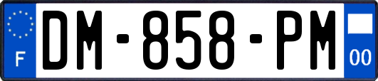 DM-858-PM