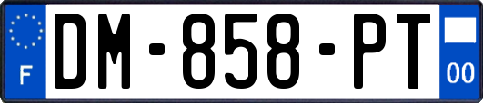 DM-858-PT