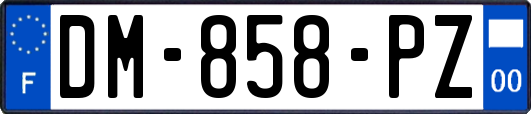 DM-858-PZ