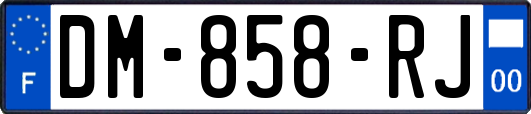 DM-858-RJ