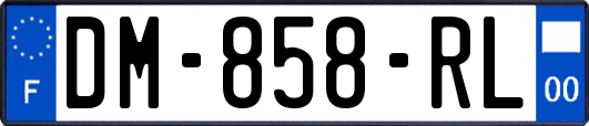 DM-858-RL
