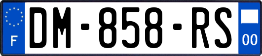 DM-858-RS