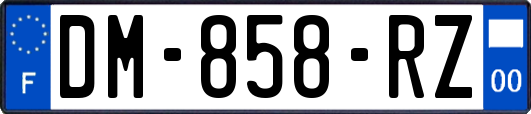 DM-858-RZ