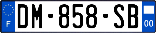DM-858-SB