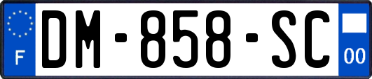 DM-858-SC