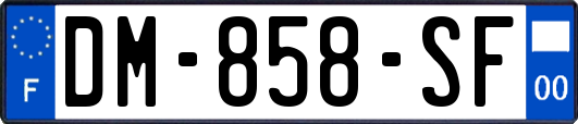 DM-858-SF