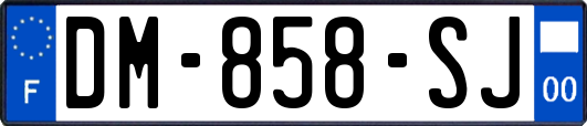 DM-858-SJ