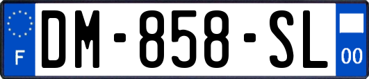 DM-858-SL