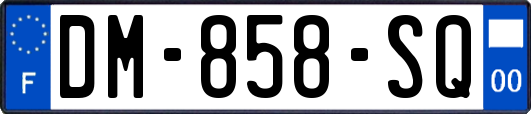 DM-858-SQ