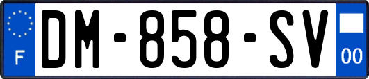 DM-858-SV