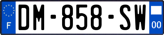 DM-858-SW