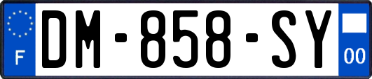 DM-858-SY