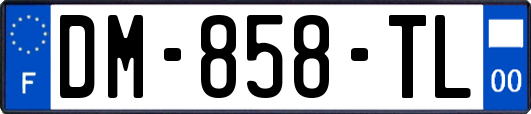 DM-858-TL