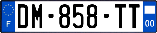 DM-858-TT
