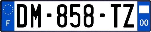 DM-858-TZ