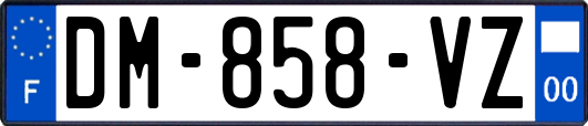 DM-858-VZ