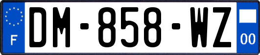 DM-858-WZ