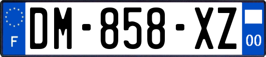 DM-858-XZ