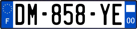 DM-858-YE