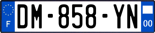 DM-858-YN