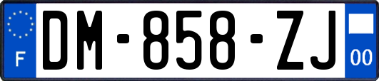 DM-858-ZJ