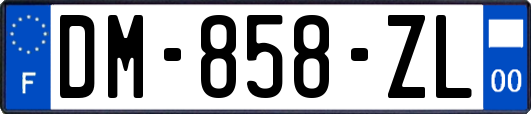 DM-858-ZL