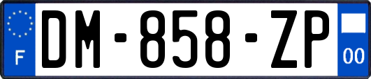 DM-858-ZP