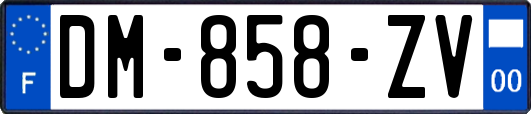 DM-858-ZV