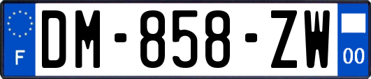 DM-858-ZW