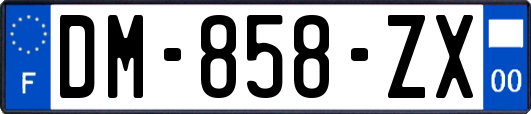 DM-858-ZX