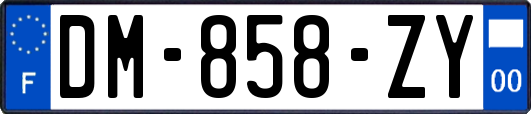 DM-858-ZY