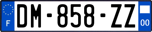 DM-858-ZZ