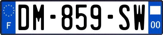DM-859-SW