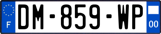 DM-859-WP