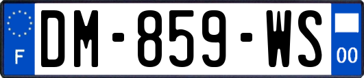 DM-859-WS