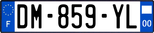 DM-859-YL